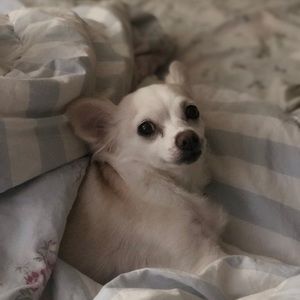 Meet your Posher, Jay